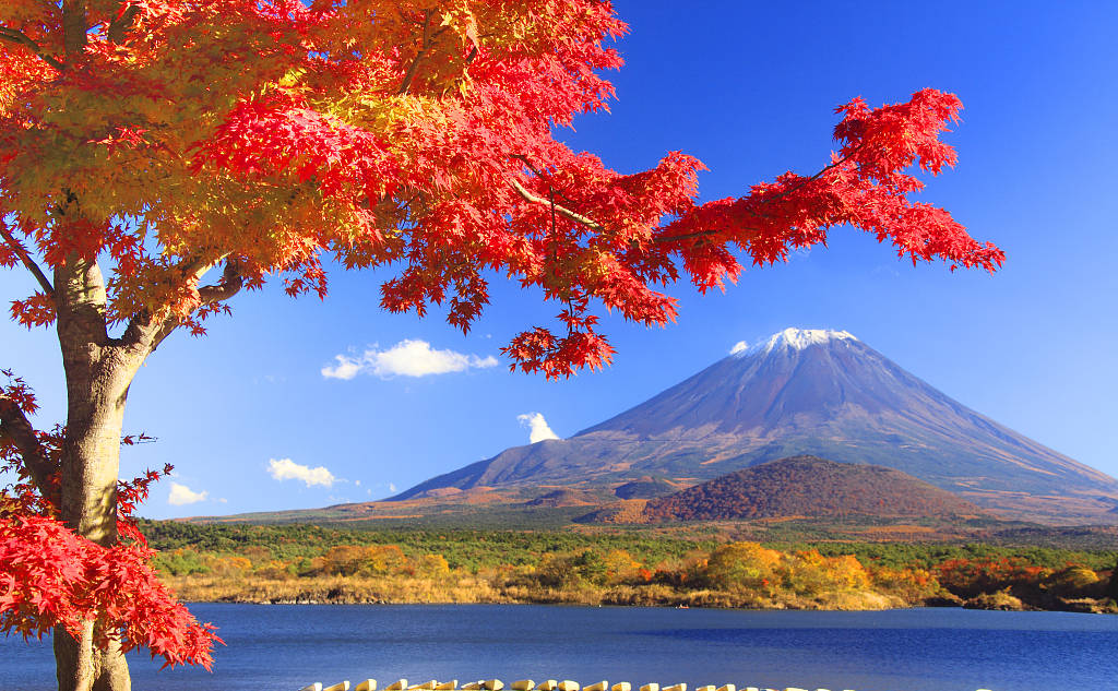 威廉希尔·(WilliamHill)中文官方网站