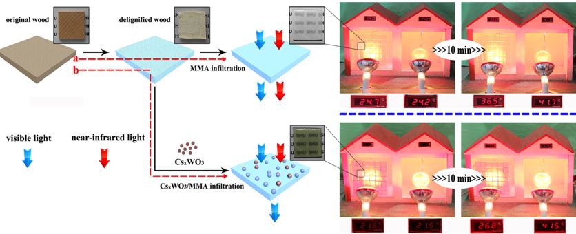 威廉希尔·(WilliamHill)中文官方网站