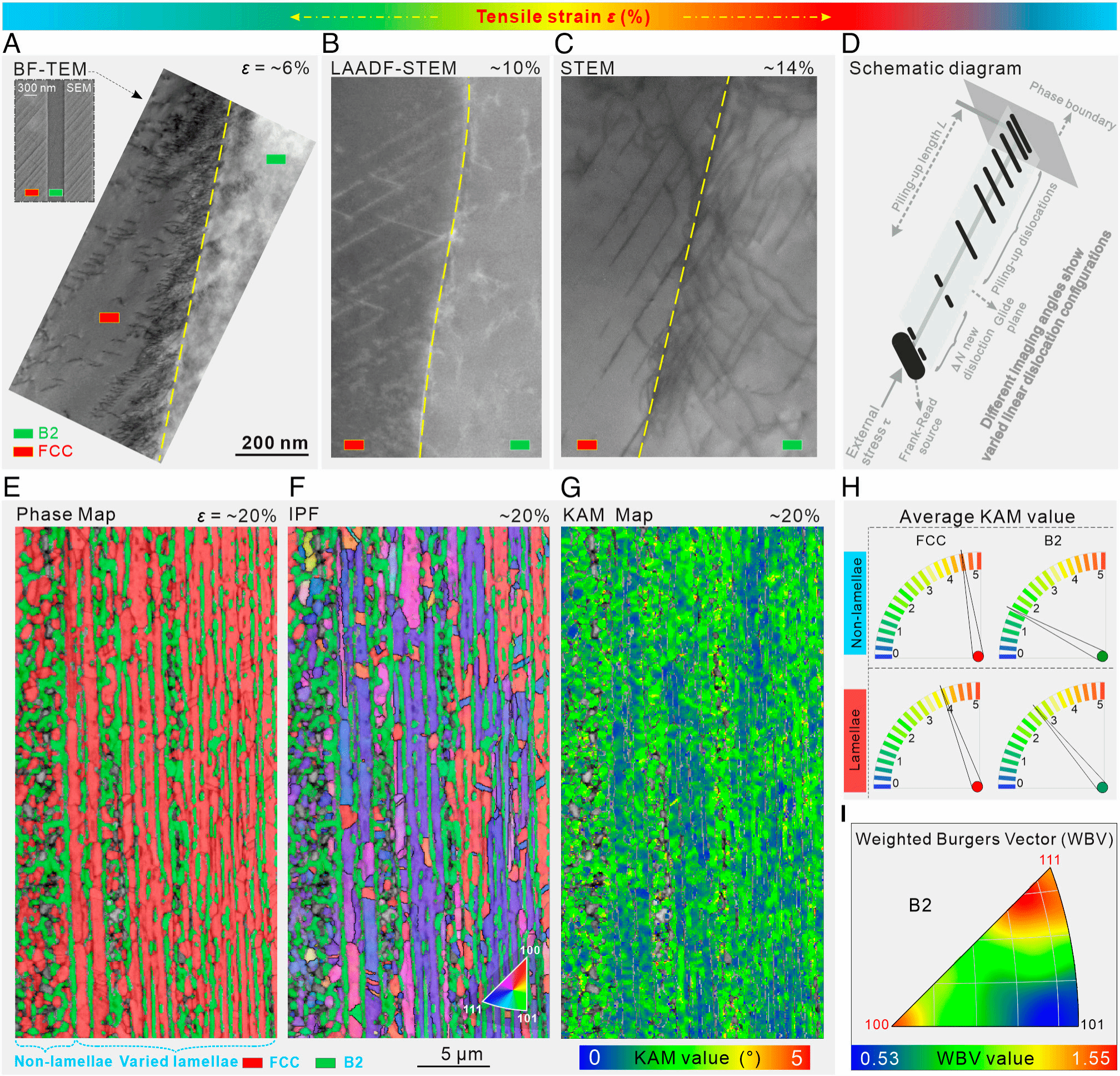 威廉希尔·(WilliamHill)中文官方网站