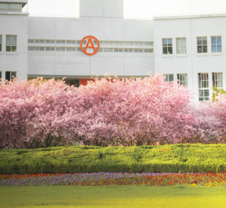 威廉希尔·(WilliamHill)中文官方网站