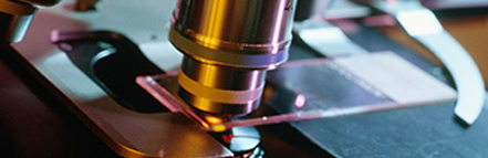 威廉希尔·(WilliamHill)中文官方网站